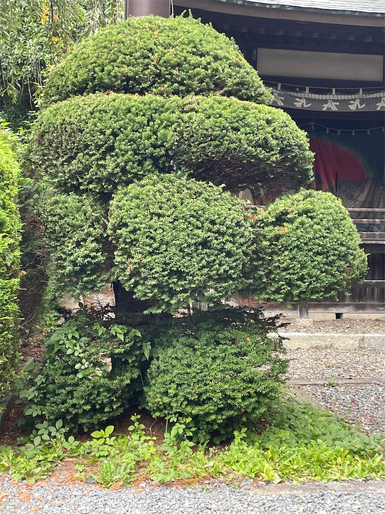 f:id:pnnc205j:20251016103259j:image